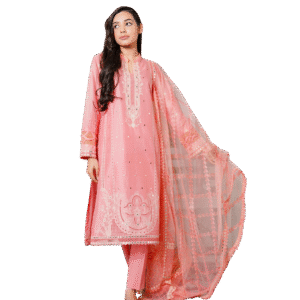 pink embroidered salwar kameez with a dupatta.